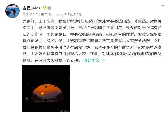 开云APP-金杨跟腱炎复发 彭金组合退出花滑大奖赛分站赛